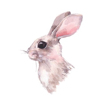 Cute hand drawn rabbit. Watercolor painting