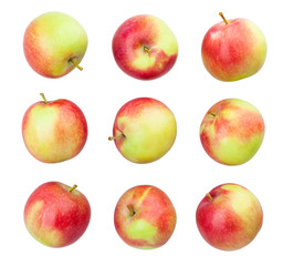 apples