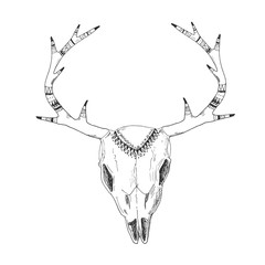 Hand-drawn deer skull with native ornament