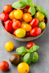 Fototapeta na wymiar Tomatoes an gray background. Colorful tomatoes, red tomatoes, ye
