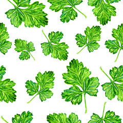 Watercolor parsley painting illustration isolated on white background, Hand drawn seamless pattern, decorative texture, food ingredient for cooking, restaurant menu, harvest festival, farmers market