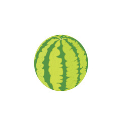 Watermelon on white background. For icons, textiles and creative design.