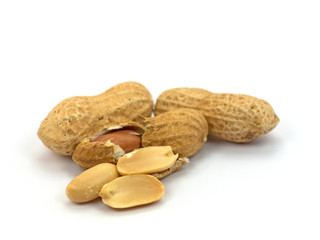 Erdnüsse, Arachis hypogaea, Peanuts