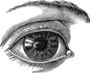 Vintage image human eye - 119252702