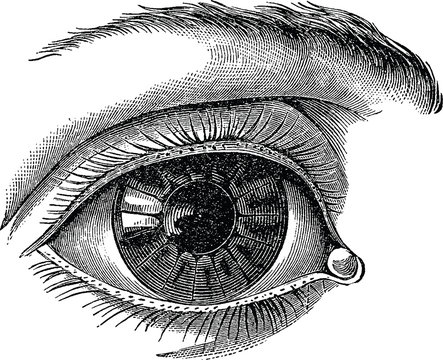 Vintage image human eye