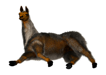 3D Illustration Llama or Lama on White