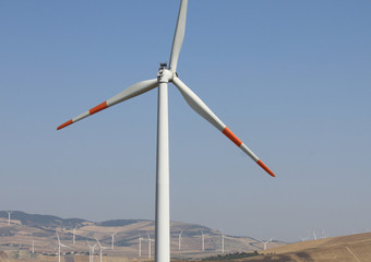 Fototapeta premium windmills on the field for electric power production