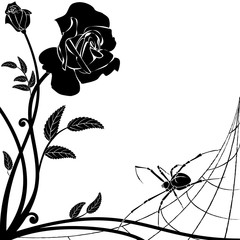 rose and spider