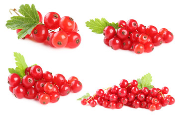 Red currants isolated on a white