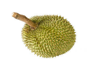 Durian sweet thai fruit, isolated on white background