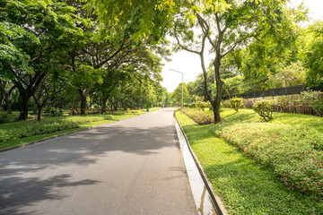 way in the public garden