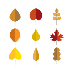 Fototapeta na wymiar Vector autumn leaves red, orange yellow colors