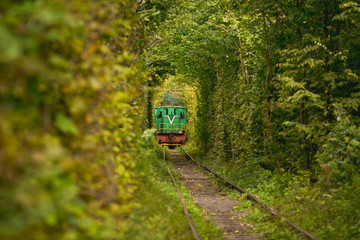 Beautiful tunnel. Same Train running in Natural tunnel of love formed by trees in Klevan, Ukrain.