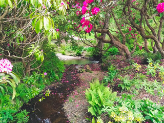 River plants and flowers in a garden