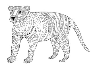 Tiger Coloring vector for adults