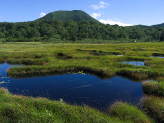 Fototapeta na wymiar 北海道の湿原　ニセコ神仙沼