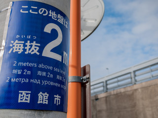 電柱に設置された海抜表示