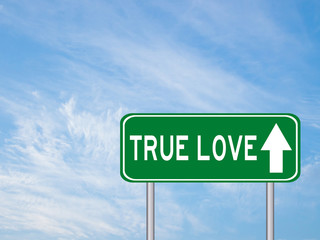 Green transportation sign with true love wording and direction on