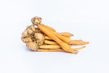 Fingerroot on white background
