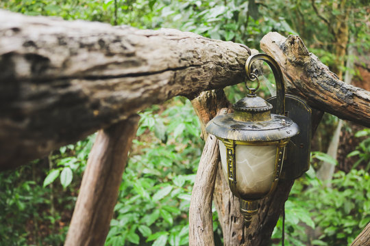 Old lamp hang on timber in forest.