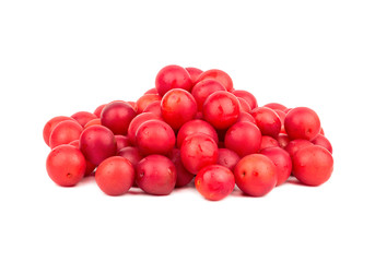 Red cherry plum