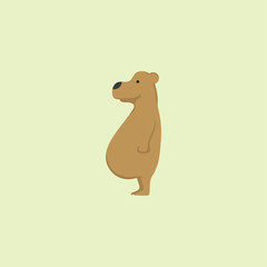 Illustration bear