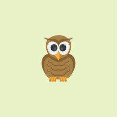 Illustration owl