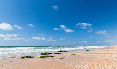 Fototapeta na wymiar sea and the sandy shore