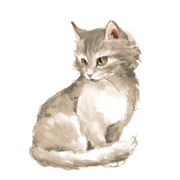 Cat 1. Gray fluffy kitten. Watercolor painting