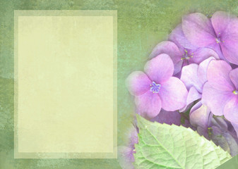 Hydrangea floral postcard. Can be used as greeting card, invitation for wedding, birthday and other holiday happening.