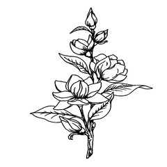 эскиз татуировки цветок,