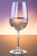 Colorful white wine glass