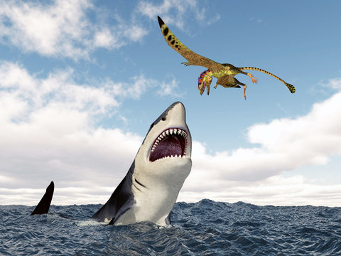 Haifisch attackiert den Flugsaurier Peteinosaurus