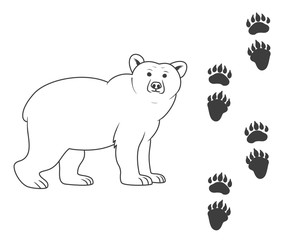 Traces of a bear. bear and his traces
