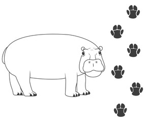 Traces of a hippopotamus. hippopotamus and his traces