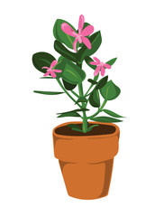 Naklejka na ściany i meble Leafy pot plant with pink flowers