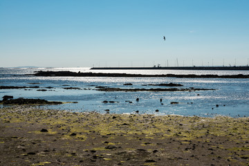 Port of Cambados in low tide