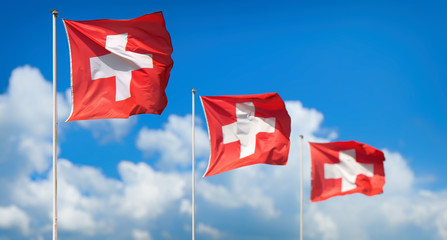Swiss flags - Flags of Switzerland waving in wind