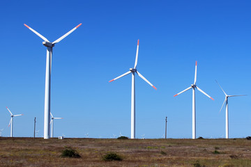 Wind power generators in the field