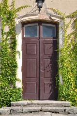Old wooden door with green ivy