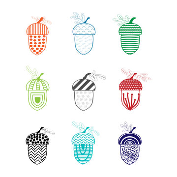 Vector set of colorful acorns on a white background