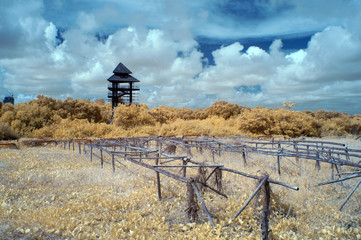 Education center of mangrove in near infrared style