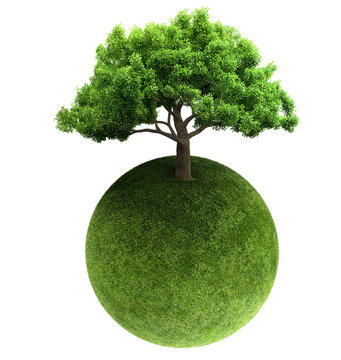 green tree and Earth 3D rendering