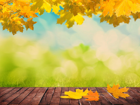 autumn background