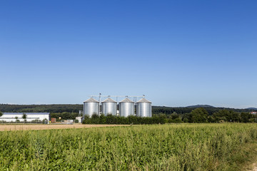 Fototapeta na wymiar four silver silos in field under blue sky