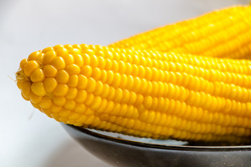 ear of Corn