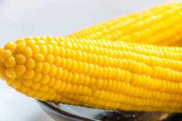ear of Corn