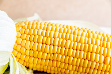ear of Corn