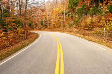 Fototapeta na wymiar Autumn scene with road