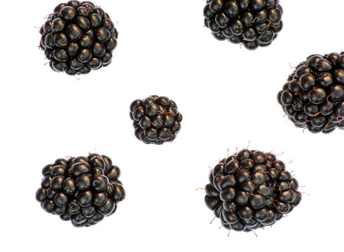 Isolated juicy blackberries on a white background